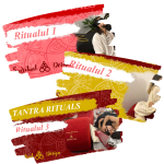 Imagine produs următor